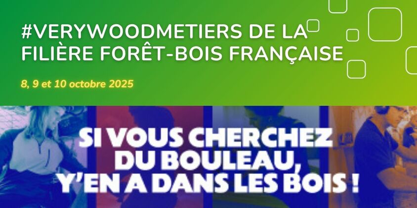 les 8, 9 et 10 octobre. Si vous cherchez du bouleau, y'en a dans les bois !